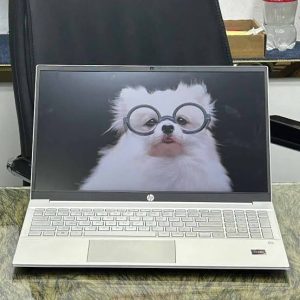 HP Pavilion 15 Demo Laptop